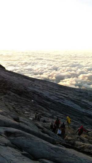 哪个泛目录程序最好截图3