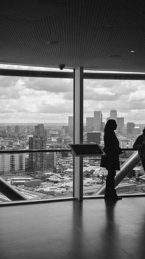 seo站长工具较多收藏截图3