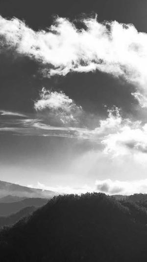 seo工具推广截图3