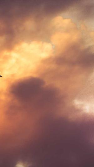 泛目录源码询问 旺客专家好截图2