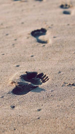 seo优化网站建设截图1