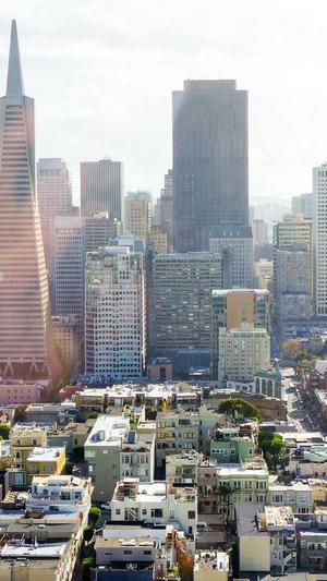 武汉seo优化工具截图1