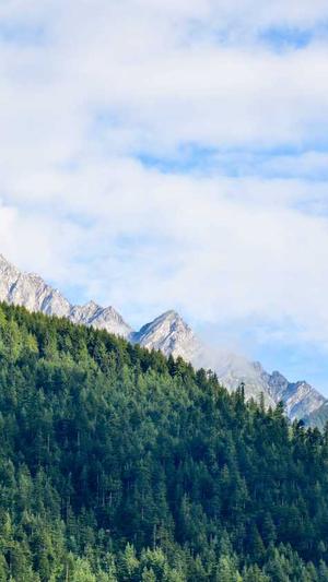 江苏省城乡和住房建设厅网站截图4