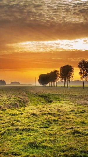 品牌seo工具截图2