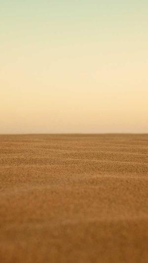 深圳seo优化服务截图2