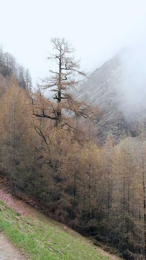 seo优化的网站截图3