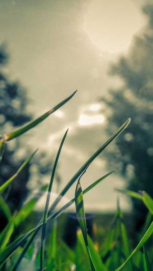 泛目录程序代做截图2