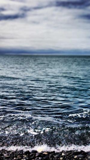 蜘蛛池那个好用截图1