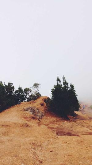 杭州seo推广截图1