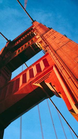 2020最新小强泛目录站群程序截图4