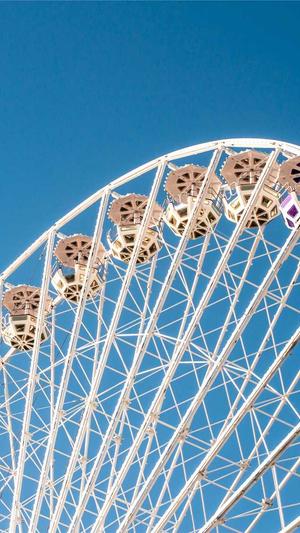 搜狗蜘蛛池出租秒收截图5