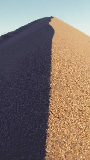 问答泛目录站群截图2