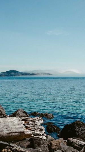 最新秒收蜘蛛池出租截图2