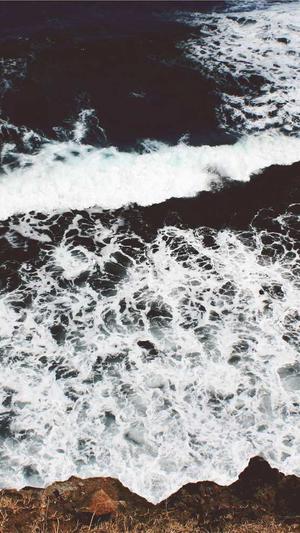 智能seo工具好落地截图2