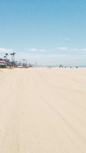 蜘蛛池百度会收录吗截图3