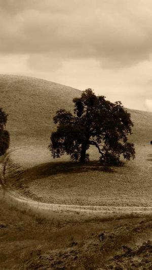 d58泛目录教程截图5