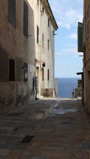 郑州seo排名工具截图2