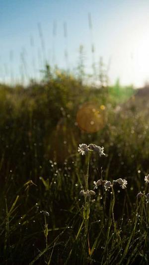福建蜘蛛池出租截图2