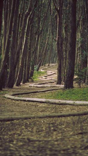 排名软件蜘蛛池截图1