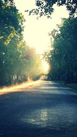 seo采集工具绿色完整版截图2