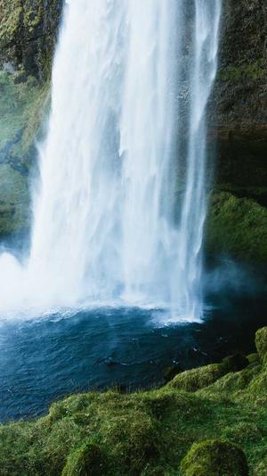 蜘蛛池的关键词截图3