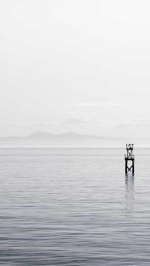 泛目录单页模板截图4