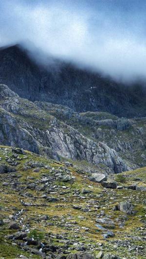 蜘蛛池搭建图片高清图截图2