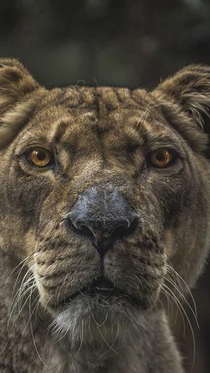 泉州网站建设截图3