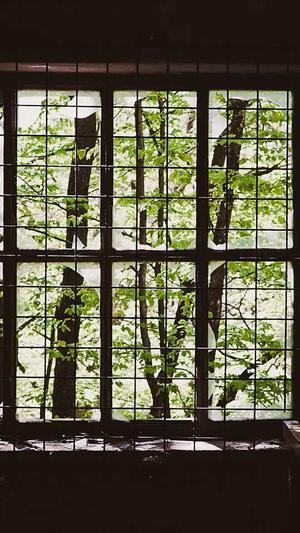 蜘蛛池源码免费分享截图1