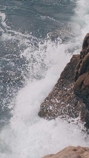 seo优化之站长工具截图3