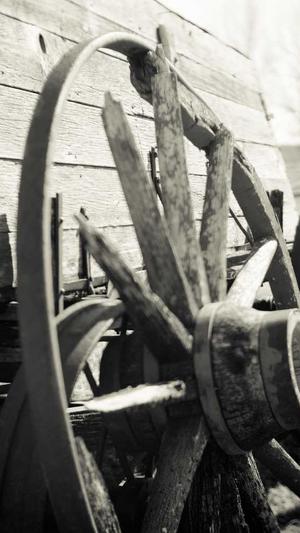 seo优排名工具截图4