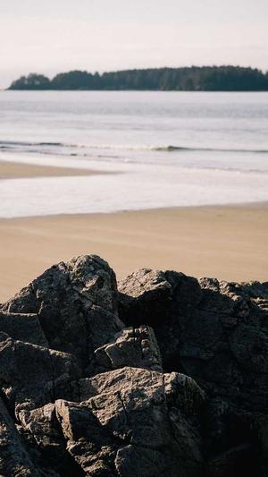 怎么建设网站截图1