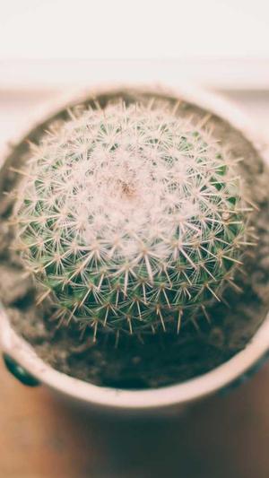 苏州seo培训截图4