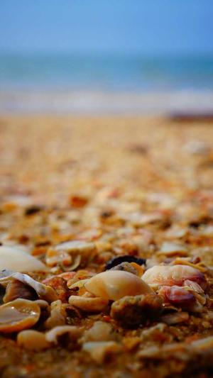 seo基础教程截图5