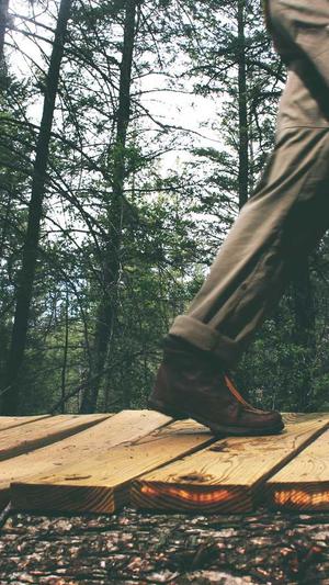 建设部网站官网截图2