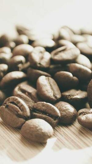 中国城乡建设部网站截图2