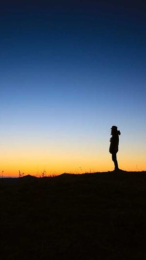 沧州seo优化截图1