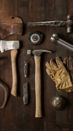 p2p蜘蛛池什么意思截图3