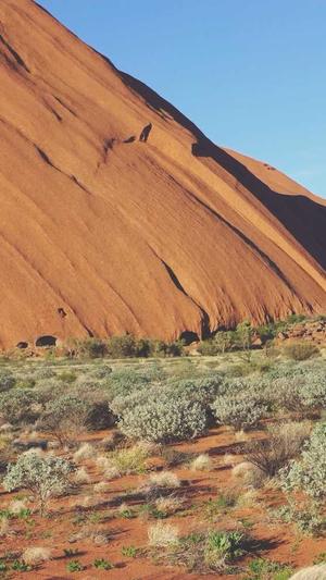 网站建设及优化截图4