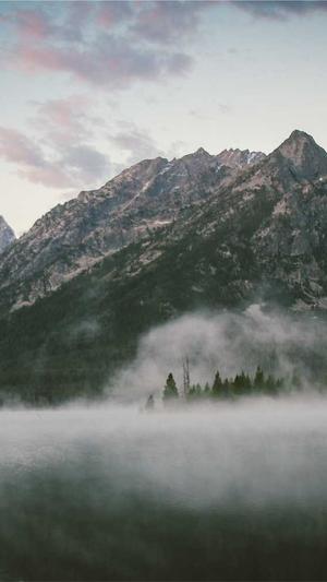 沈阳seo优化截图4