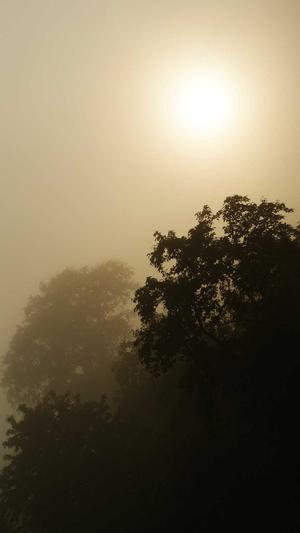 泛目录和寄生虫怎么做截图1