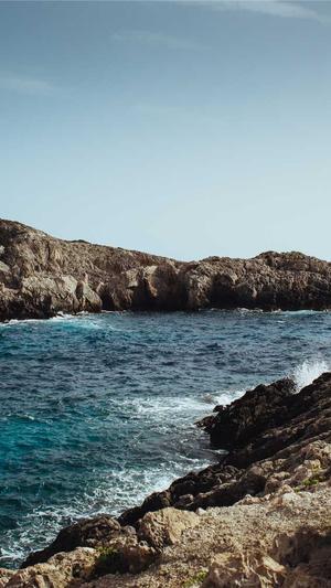 黑帽蜘蛛池模板图片截图3