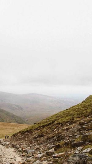 php单页泛目录站群截图3