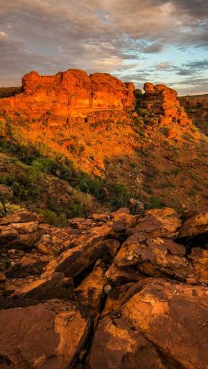 蜘蛛池负作用截图4