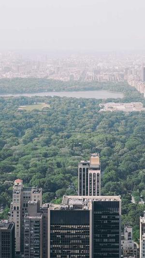 免费蜘蛛池seo 推广截图3