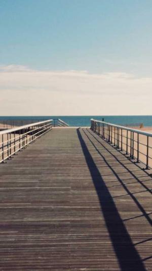 seo数据分析工具截图2