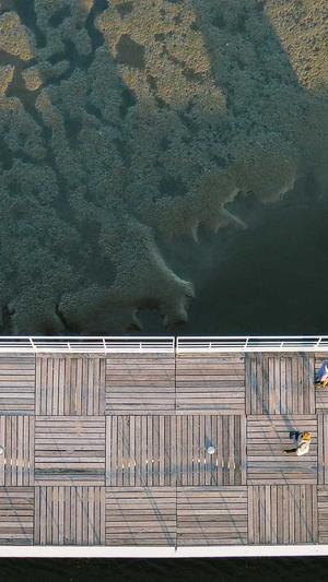 蜘蛛池优化seo平台截图4