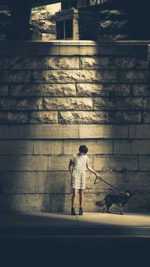 寄生虫蜘蛛池区别截图1