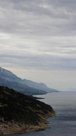 seo优排名工具截图2