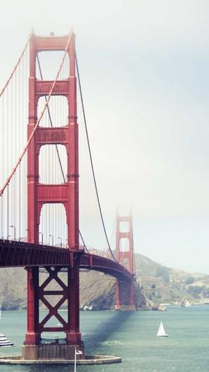 重庆seo快速优化软件截图1